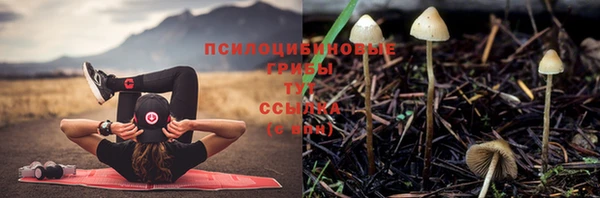 амф Алексеевка