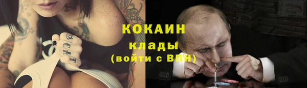 дживик Алексин