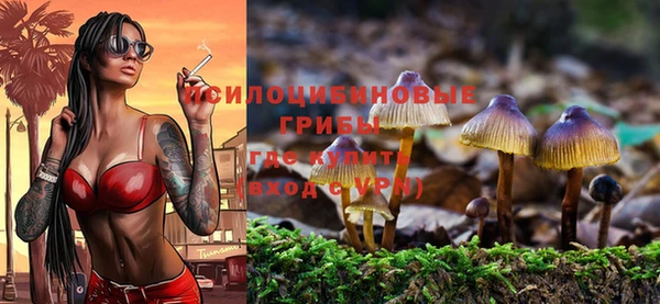 амф Алексеевка
