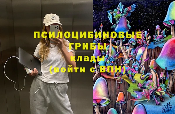 амф Алексеевка