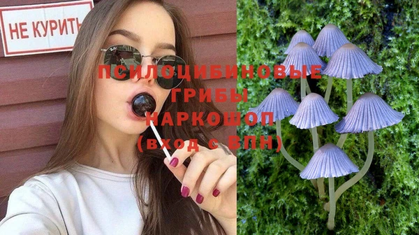 амф Алексеевка