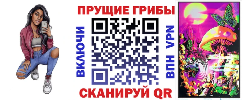 маркетплейс наркотические препараты  купить  цена  OMG ссылки  Электрогорск  Псилоцибиновые грибы MAGIC MUSHROOMS 