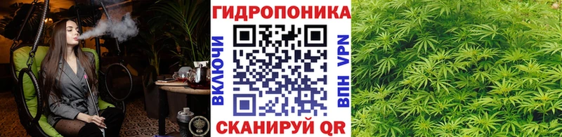 МАРИХУАНА планчик Электрогорск